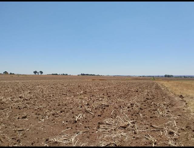20.20HA VACANT LAND FOR SALE IN CHRISSIEFONTEIN